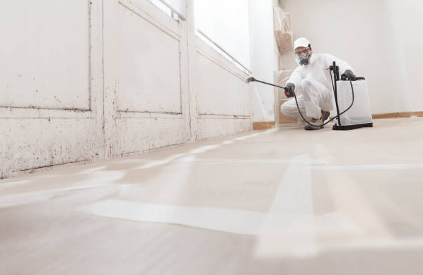 Post-remediation clearance in Blackwood